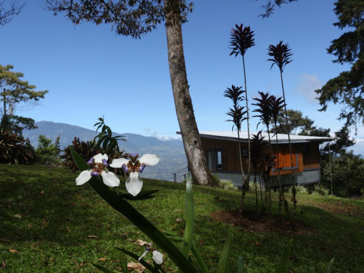 The Lodge At Reventazon River Mountain Ranch Turrialba Exterior foto